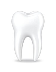 A 3D rendered, pristine white molar tooth isolated against a bright white background. It exhibits smooth surfaces and a realistic appearance