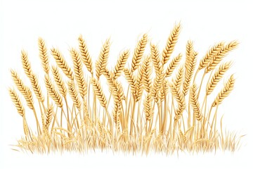 Golden Wheat Stalks Illustration, vibrant golden yellow tones, organic agricultural element, isolated design on white background