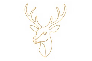 Deer head drawing with elegant continuous line art style, minimalist animal design on transparent background