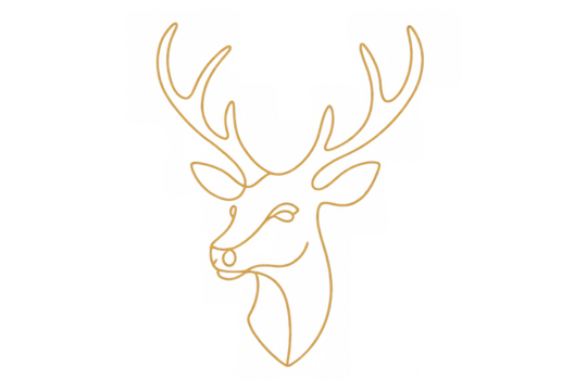 Deer head drawing with elegant continuous line art style, minimalist animal design on transparent background
