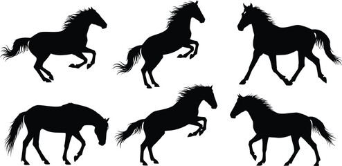 Collection of Horse Silhouettes in Motion