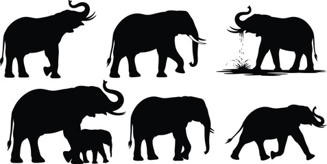 Six Silhouette Elephants Different Poses and Actions