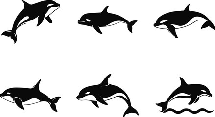 Black and White Silhouette Vector Set of Orca Killer Whales, Swimming and Jumping, Representing Marine Life, Ocean Wildlife, and Aquatic Animal Concepts.