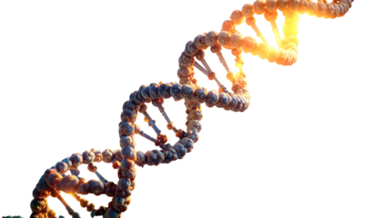 Rendered close-up of a double helix DNA strand, highlighted against a black background
