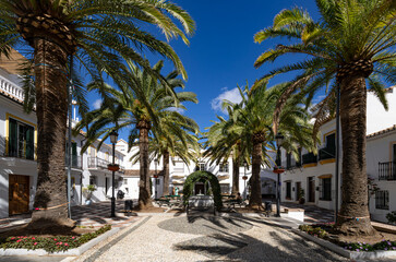 Les palmiers de la place du Pueblo