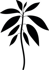 Fototapeta premium Black silhouette of avocado plant (Persea americana) isolated on white background 