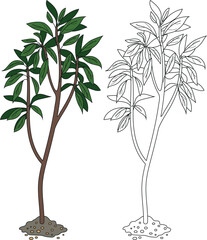 Naklejka premium Coloring page with deciduous tree isolated on white background