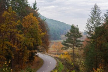 Autumn mountain forest road with trees and clouds