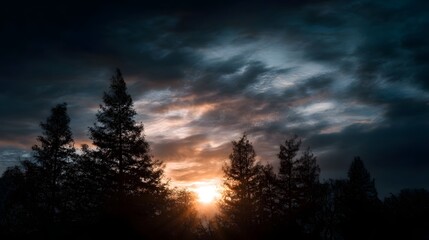 Dramatic sunset sky with silhouetted trees casting a moody and atmospheric glow