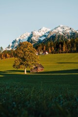 Autumn landscape in the mountains with house and trees