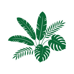 Tropical Leaves Vector Collection. Monstera, Palm, and Banana Leaf Silhouette Set.