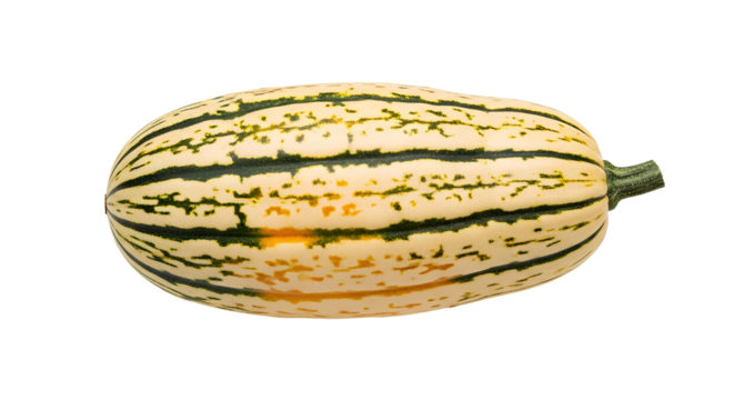 whole and uncooked Delicata squash with characteristic green and cream stripes PNG. fresh, oblong winter squash pumpkin vegetable top view flat lay isolated