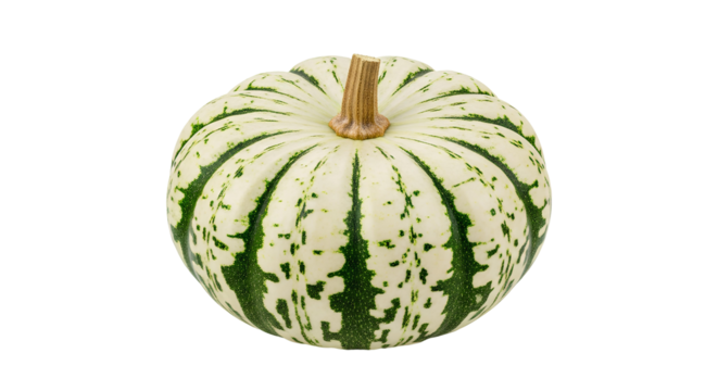 Sweet Dumpling squash with a distinctive round, ridged shape and green and white stripes PNG. Beautiful and edible decorative winter gourd pumpkin for autumn and harvest themes isolated