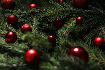 Beautiful spruce tree branches with Christmas ornaments as background, closeup