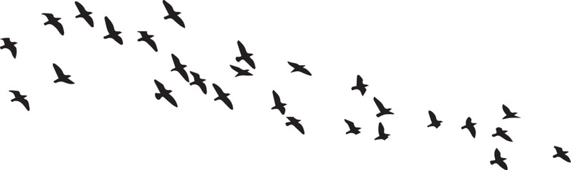 Flock of flying birds silhouette vector isolated on a transparent background. Freedom, nature.