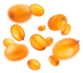 Fresh sea buckthorn berries in air on white background