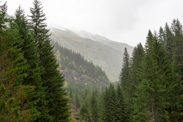 view from the mountain