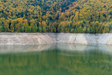 forest reflected in the lake