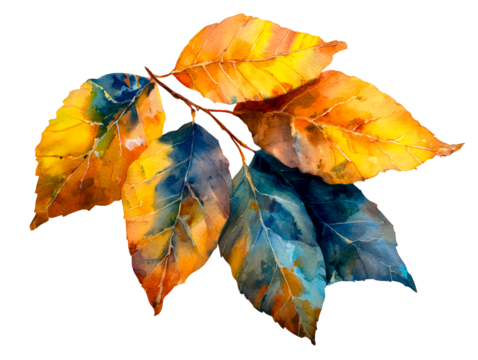 Watercolor autumn leaves on branch with yellow and blue tones, isolated on transparent cutout background