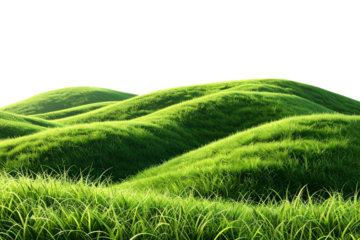 Green grass covering rolling hills on transparent background
