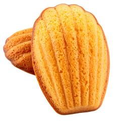 Classic French Madeleine Shell Cookies Isolated on White Background