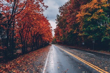 Driving through a tunnel of stunning autumn foliage on a rainy day, perfect for travel blogs,...