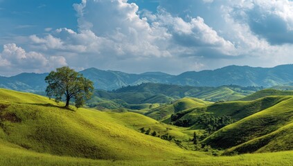 Obraz premium Rolling Green Hills and Distant Mountains Under a Cloudy Sky.