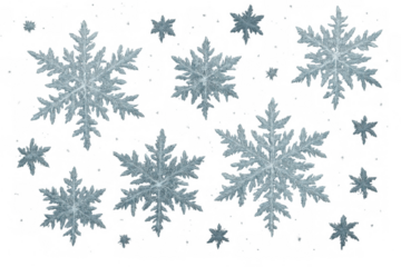 Falling snowflakes on a transparent background showing winter, ice, and cold weather. Frozen crystals for various festive designs