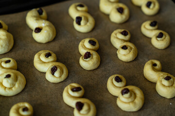 Process of making traditional Swedish saffron buns. Raw S-shaped yeast buns spiced with saffron and decorated with raisins on baking tray before baking.