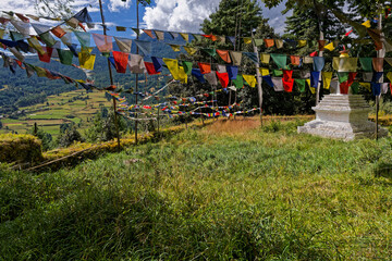 Tibetan flags and a stupa in a countryside landscape