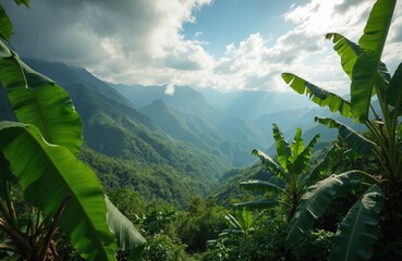 Obraz premium Lush green mountains in Colombia create a scenic valley view under a cloudy sky. Banana leaves frame the tropical landscape, suggesting exotic nature and agriculture.