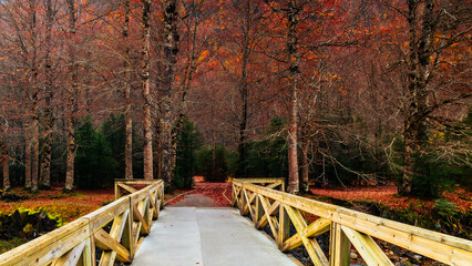 Beautiful path located in the Ordesa National Park.