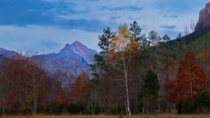Beautiful path located in the Ordesa National Park.