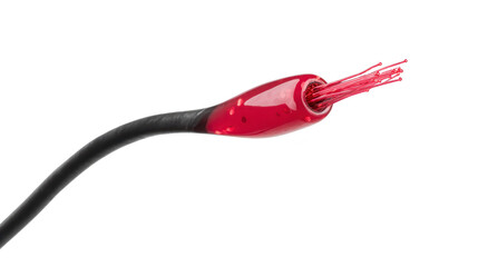 Fiber optic cable with red protective coating, exposed internal glass fibers, isolated on transparency background, used for high speed data transmission and modern telecommunication technology