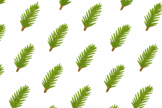 Repeating fir tree branches creating a seamless pattern, green coniferous texture with transparent background