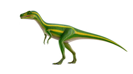 Fototapeta premium Green dinosaur prehistoric animal standing on two legs with long tail and sharp teeth isolated on transparency background realistic illustration ancient reptile fierce expression