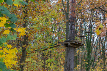 A wooden adventure park platform stands among trees with colorful autumn leaves. Ropes and bridges stretch between trunks in the forest canopy.