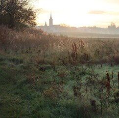 Awakening in the Countryside