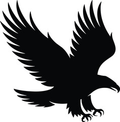 Obraz premium Silhoutte of a flying Black eagle