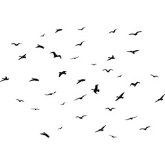 Birds Flying Silhouettes