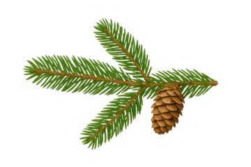 Pine branch with a single pine cone displaying evergreen needles, ready for seasonal designs on transparent background