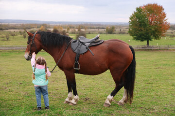 Obraz premium Equine assisted therapy. Little girl stroking beautiful horse in countryside, back view. Lovely domesticated pet