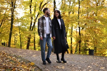 Obraz premium Cute couple holding hands and walking in autumn park, low angle view