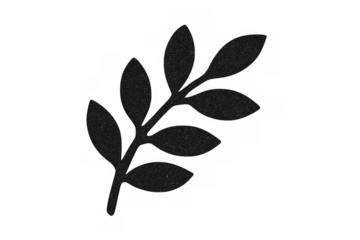 Black leafy branch silhouette on transparent background representing nature, organic design, and eco-friendly concepts