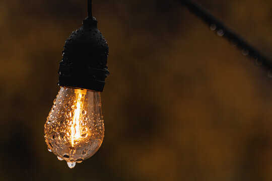 Wet Light bulb led - rain, brown background