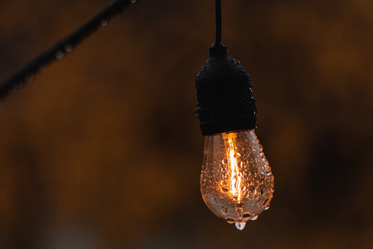 Wet Light bulb led - rain, brown background - Powered by Adobe