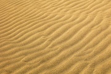 Linee di luce e ombra sulla sabbia che si formano sulle Dune di Maspalomas a Gran Canaria in Spagna