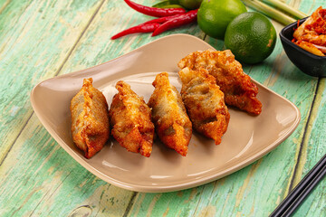 Asian fried stuffed dumplings gyoza