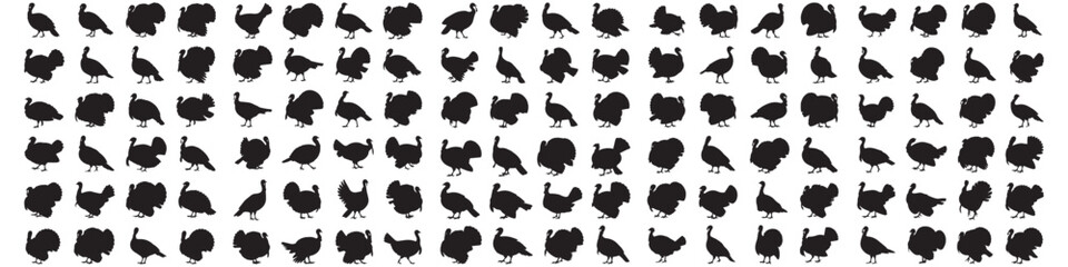 set of turkey bird silhouette vector template. Vector Black silhouettes. with white background