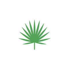 Green leaf saw palmetto icon vector flat design on white background.